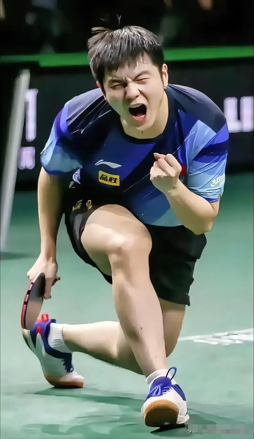 韩国乒乓球队碾压波兰乒乓球队，樊振东惊艳世界