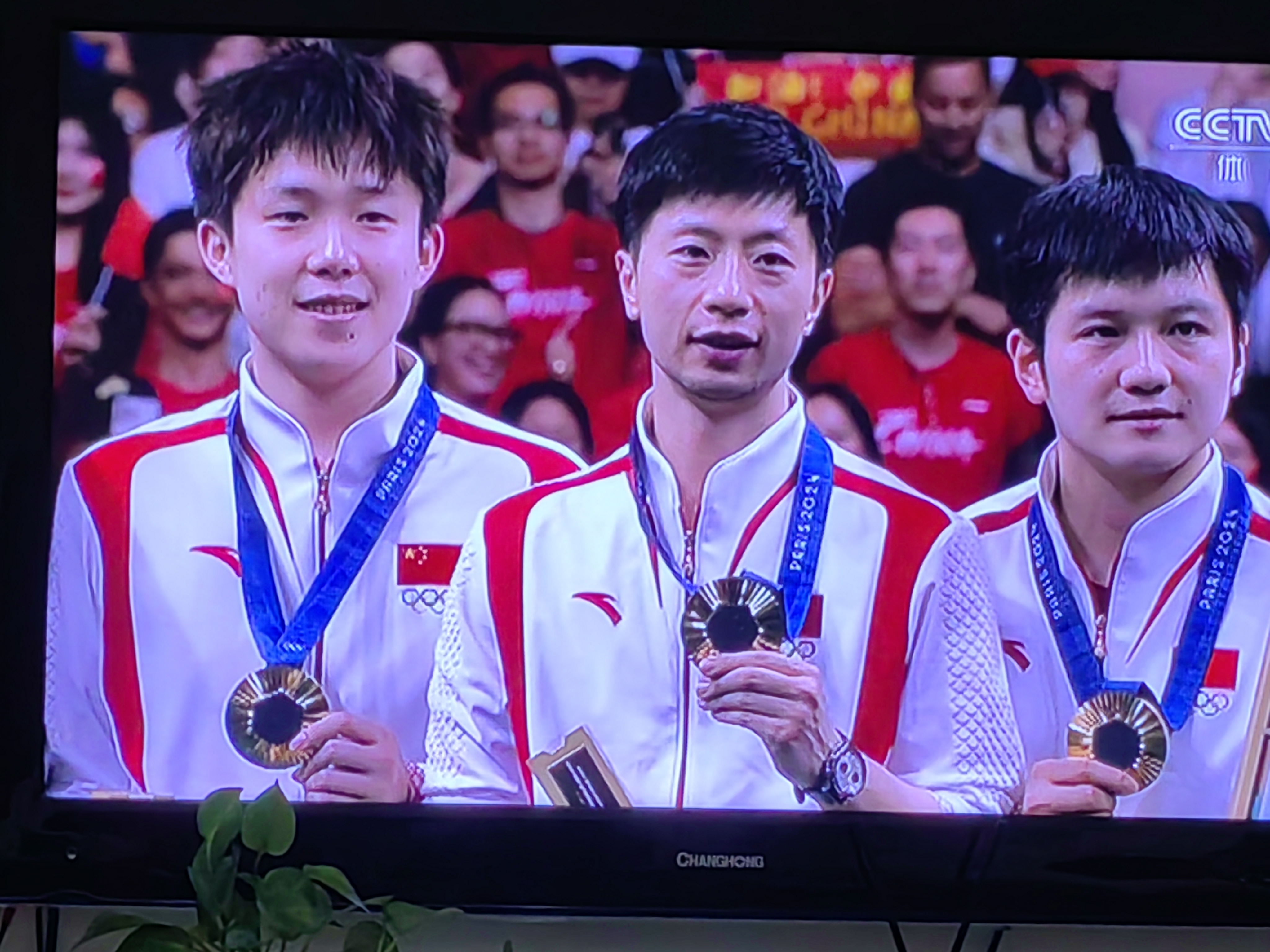 瑞典乒乓球队鏖战中国乒乓球队，波尔送出助攻