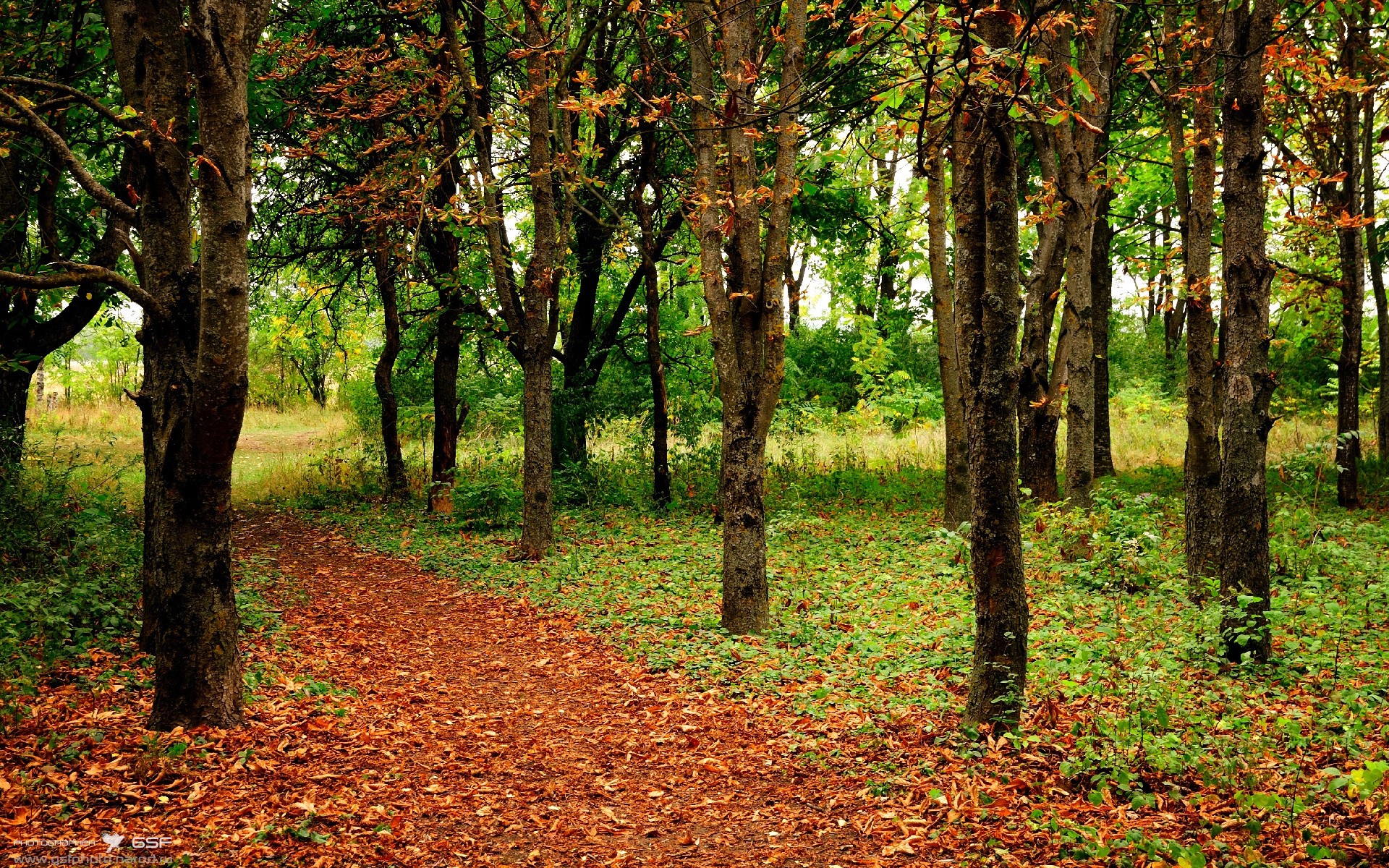 爱游戏在线-终场哨声前，波尔如何把足球写成一部法国小说