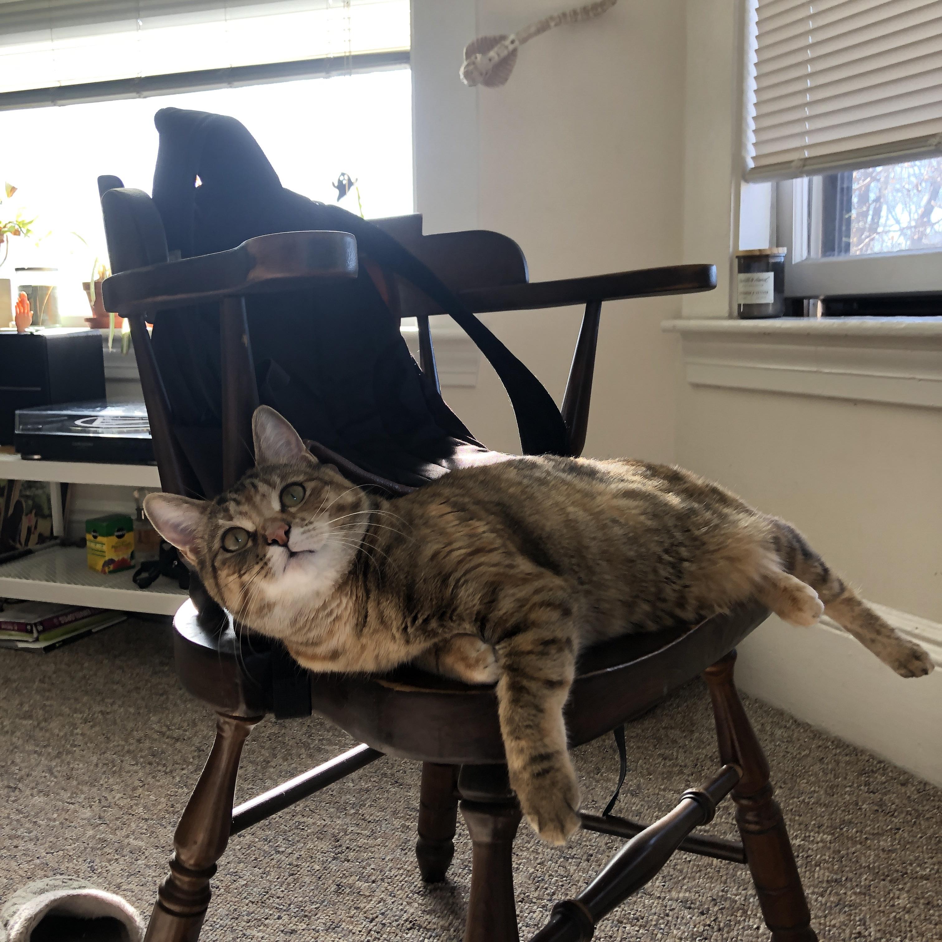 铁血群星与孤胆英雄,足球世界的双面胜利法则