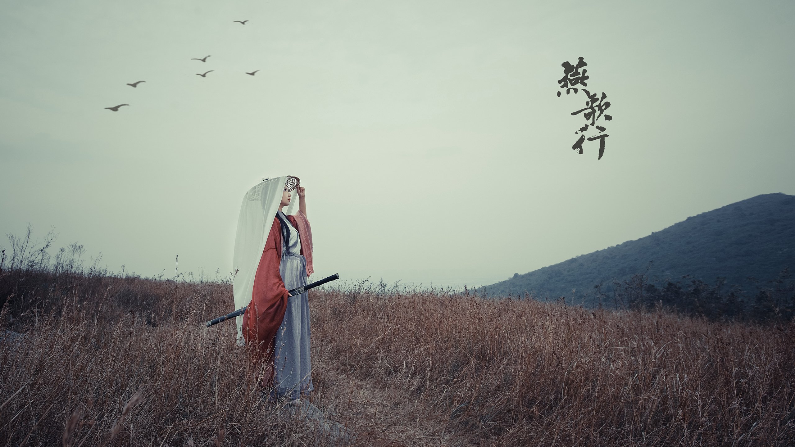 爱游戏官方-佩雷兹的绝对领域，从起步格杀到全程控盘梅赛德斯策略制胜，哈斯车队暴露挣扎