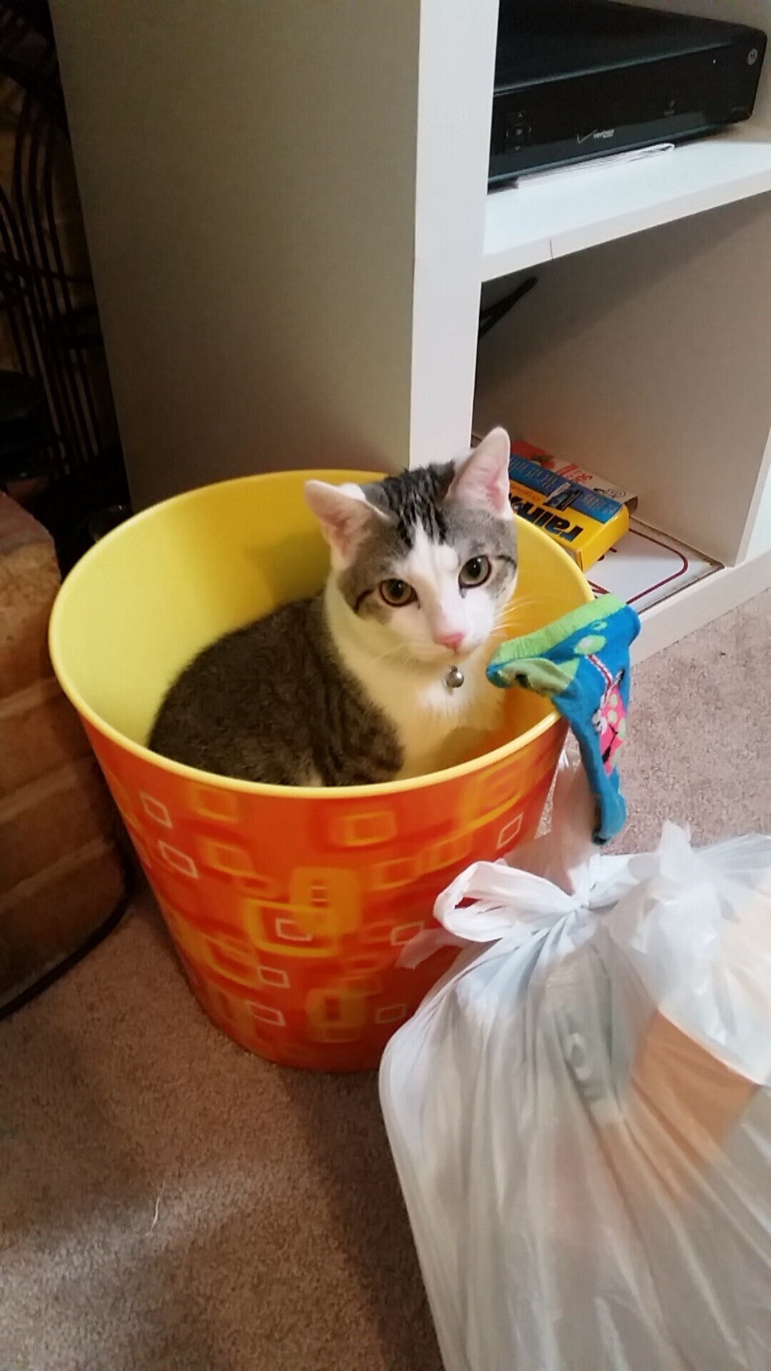 爱游戏下载-风暴之眼，西亚卡姆的烈焰之夜