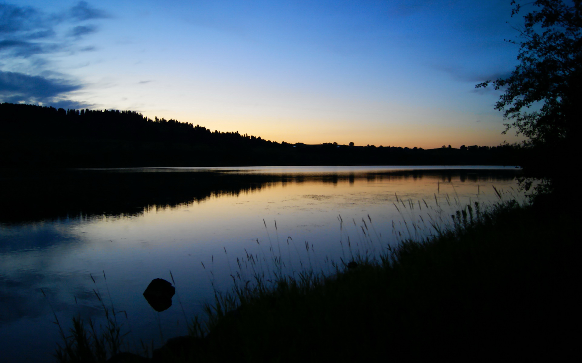 爱游戏在线-街道暗影中的人形凶器，罗德里之夜