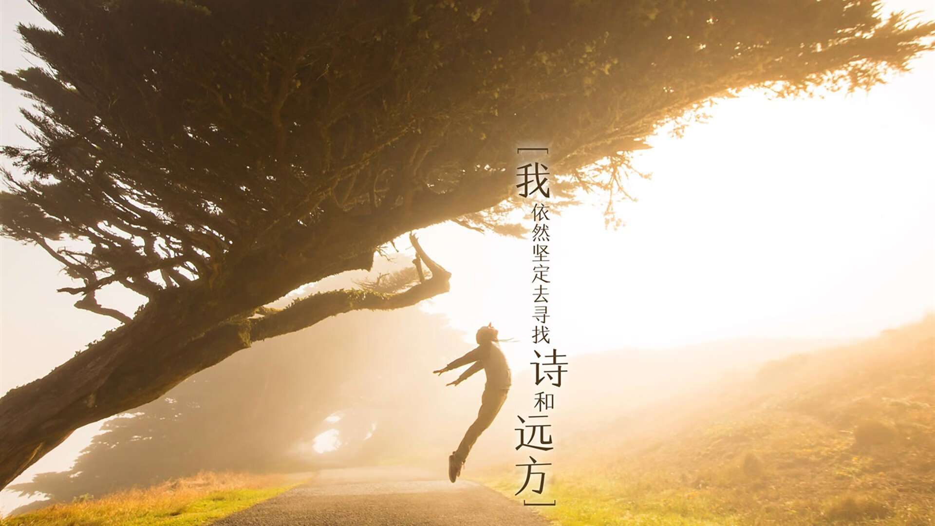 爱游戏在线-王储加冕之夜，克瓦拉茨赫利亚在季后赛抢七的巨型舞台起舞