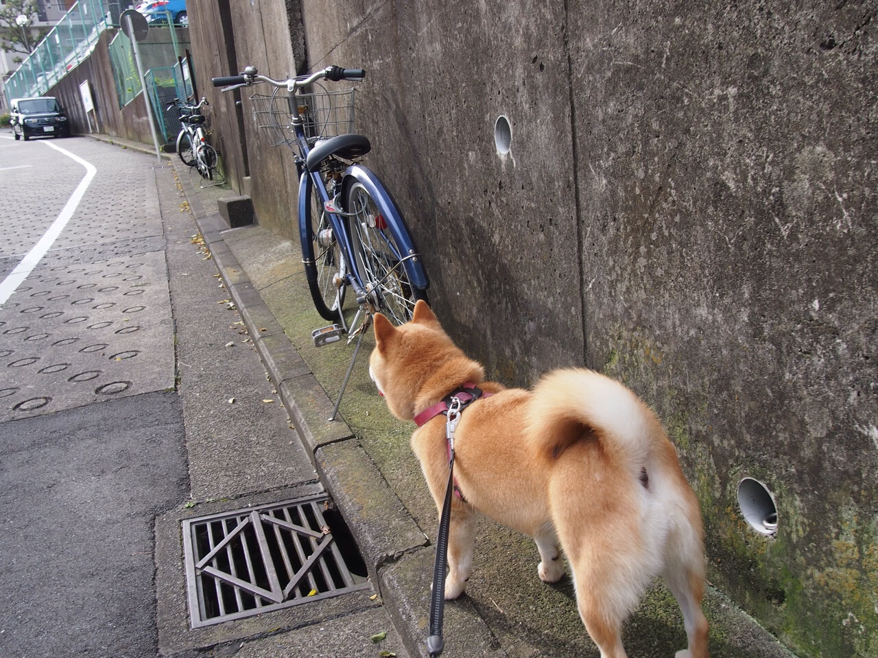 超越胜负，热火末节逆转揭示硬仗DNA，致敬活塞铁血丰碑