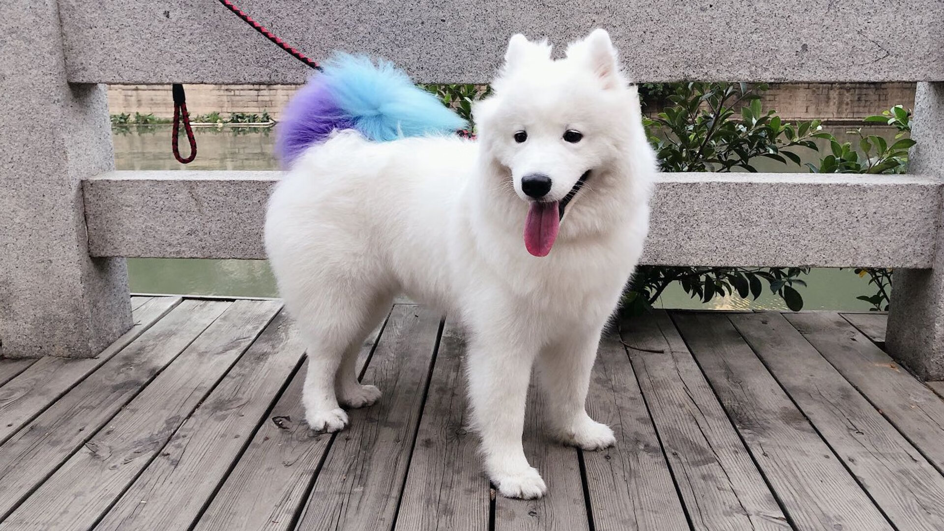 清冷月光，当欧文在高原主场写下无解题