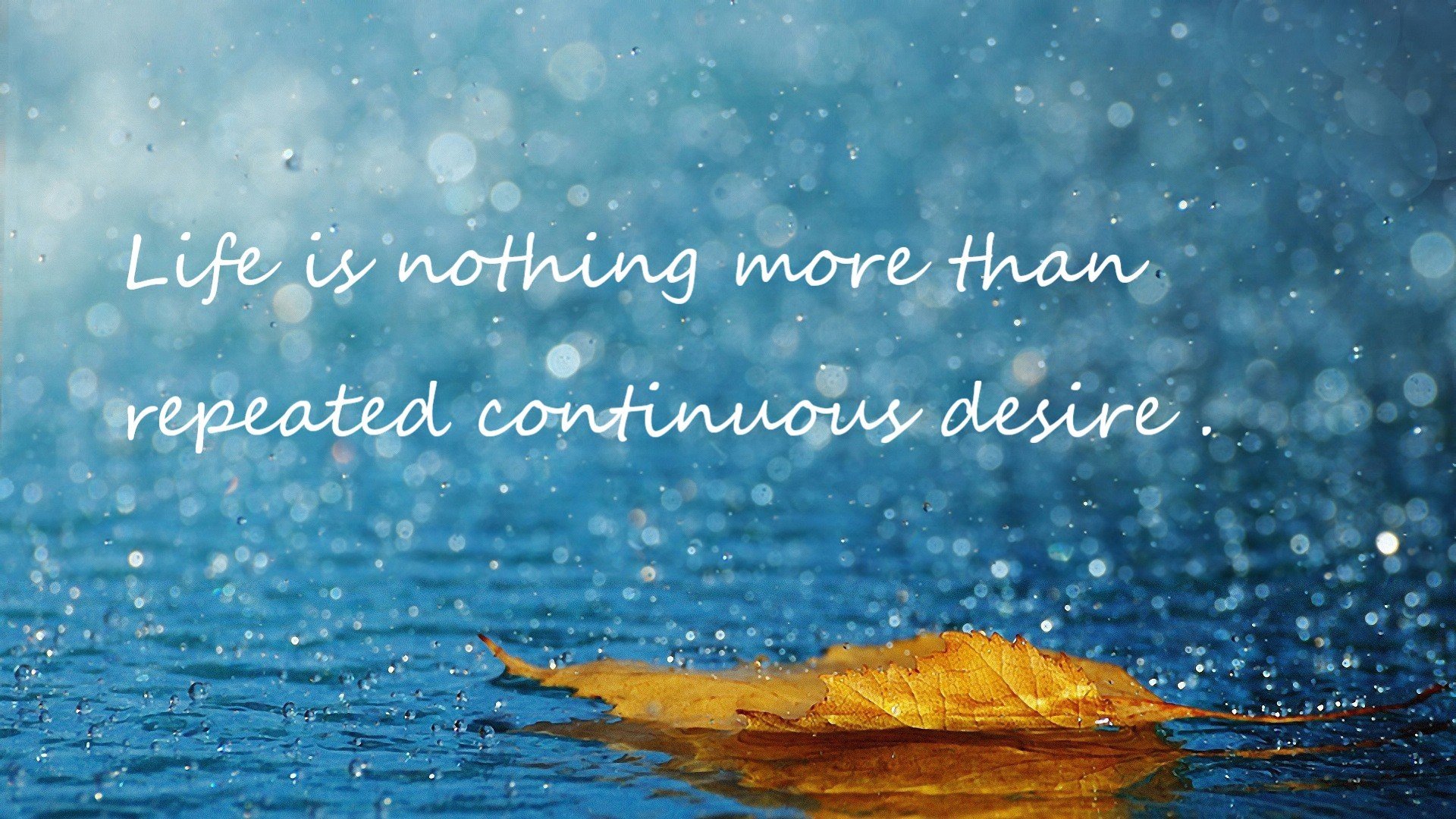 冰火双城记，新疆冰雪逆袭与布伦森奥运火焰