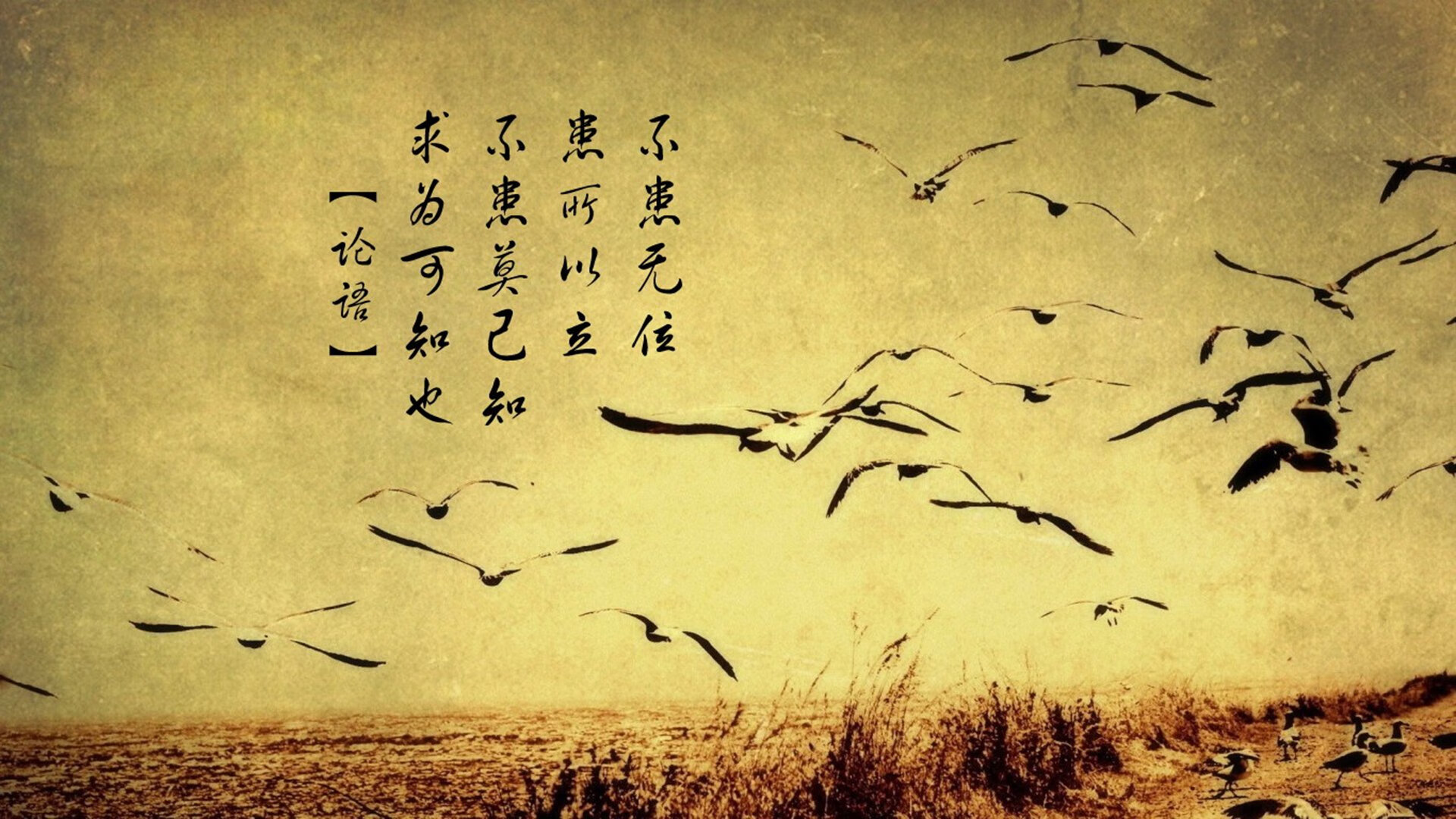 唯一性展现,塔图姆的进攻艺术与尼克斯的收割之战