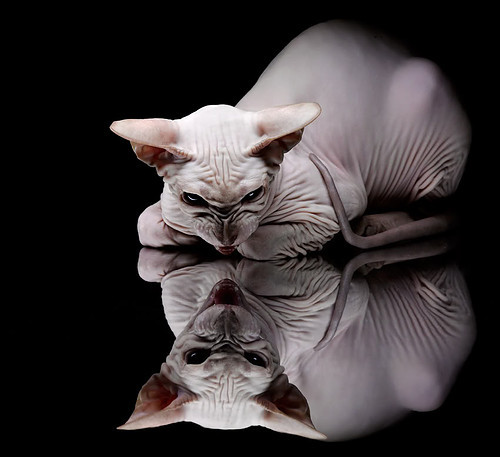 赛道即棋盘，奥纳纳如何以城市为棋盘，下赢F1街道赛的这盘棋？