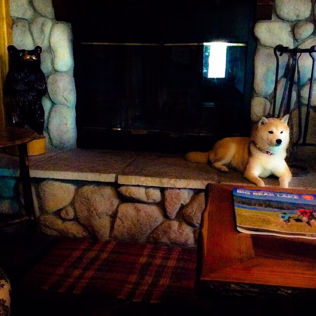 法比尼奥连击定乾坤，巴西在巅峰对决中力克丹麦，唯一性之战彰显王者风范