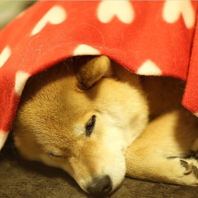 格列兹曼的刀锋时刻，在红魔钢墙上刻下马德里心跳