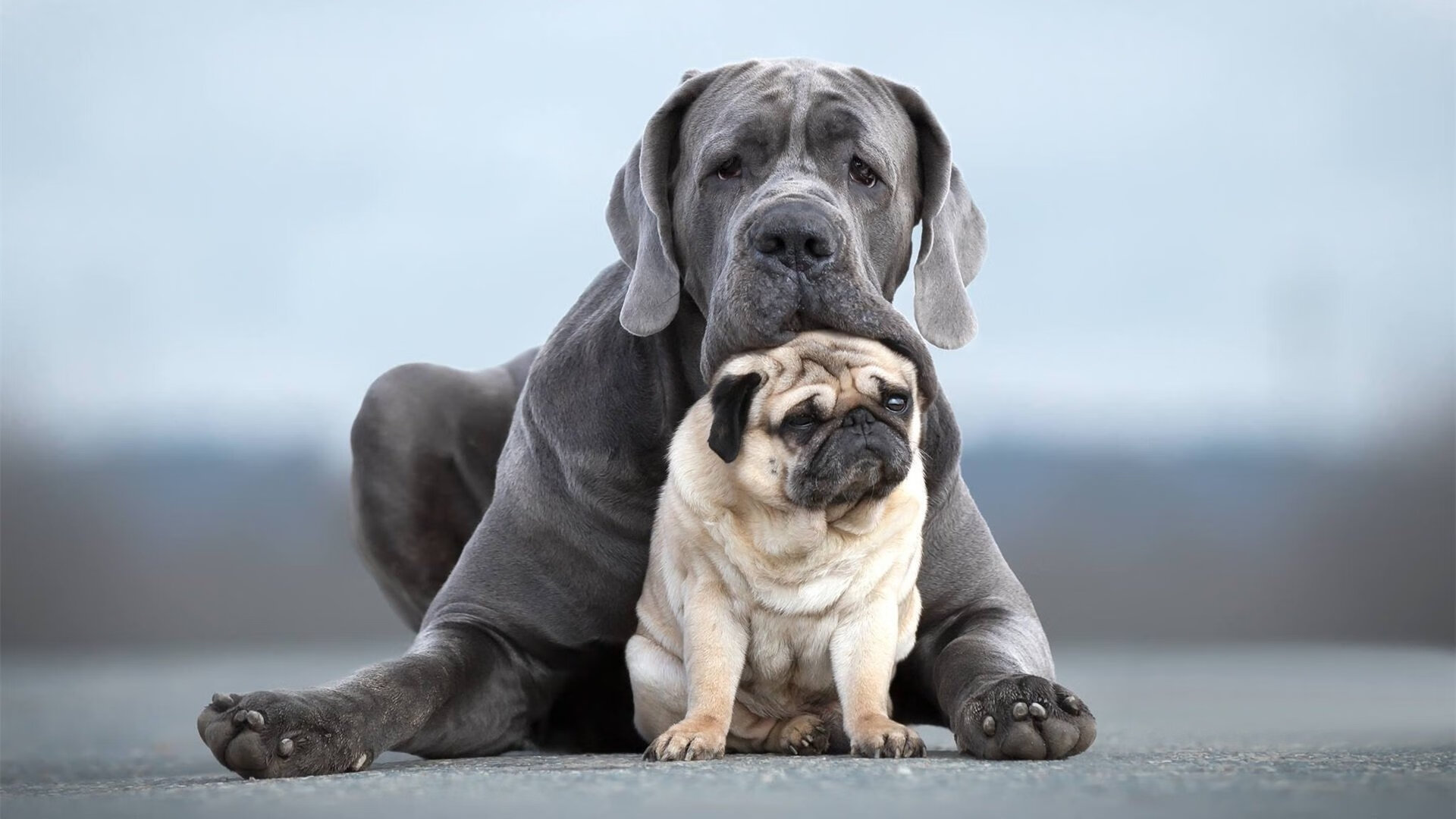 跨界巅峰，当NBA总决赛的终场哨声为足球豪门响起