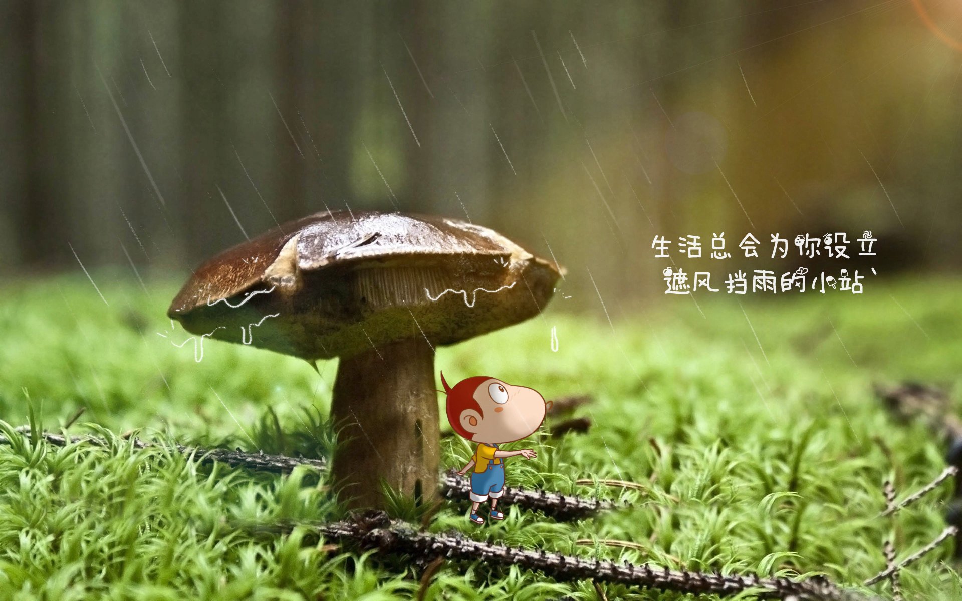 拓展(供选)